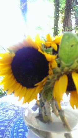 Fundraising Page Image