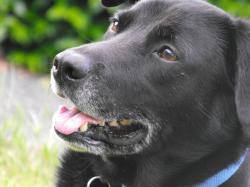 Fundraising Page Image